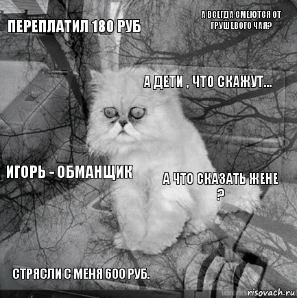 переплатил 180 руб а что сказать жене ? а дети , что скажут... стрясли с меня 600 руб. игорь - обманщик а всегда смеются от грушевого чаЯ?    , Комикс  кот безысходность