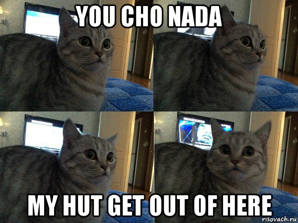 you cho nada my hut get out of here