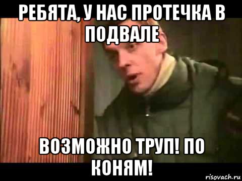 ребята, у нас протечка в подвале возможно труп! по коням!, Мем Ларин по коням