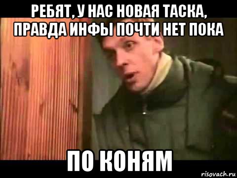 ребят, у нас новая таска, правда инфы почти нет пока по коням, Мем Ларин по коням