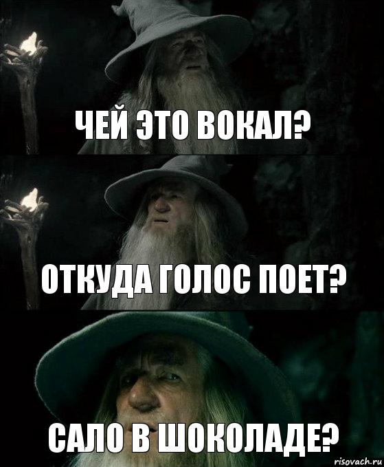 Чей это вокал? Откуда голос поет? Сало в шоколаде?