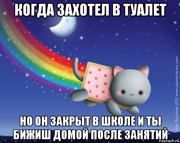 когда захотел в туалет но он закрыт в школе и ты бижиш домой после занятий, Мем Нян кэт