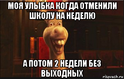 моя улыбка когда отменили школу на неделю а потом 2 недели без выходных, Мем Осел из Шрека