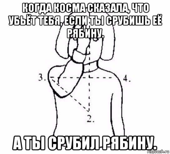 когда косма сказала, что убьёт тебя, если ты срубишь её рябину. а ты срубил рябину., Мем  Перекреститься