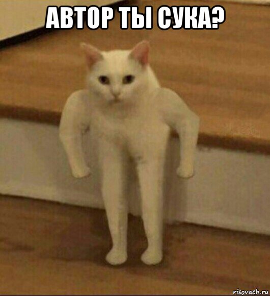 автор ты сука? , Мем  Полукот