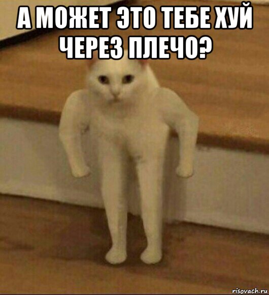 а может это тебе хуй через плечо? , Мем  Полукот