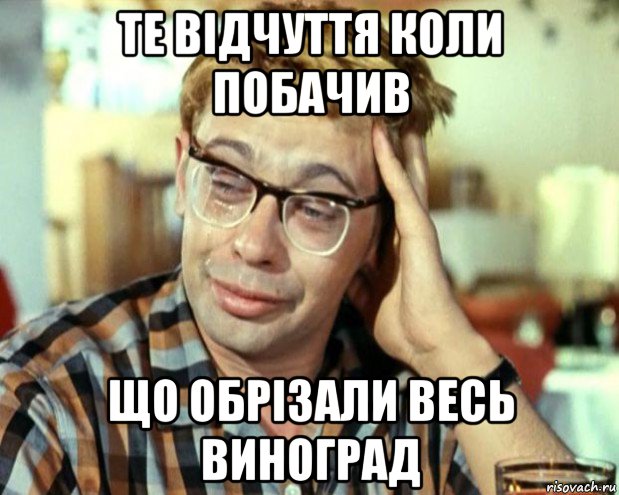 те відчуття коли побачив що обрізали весь виноград, Мем Шурик (птичку жалко)