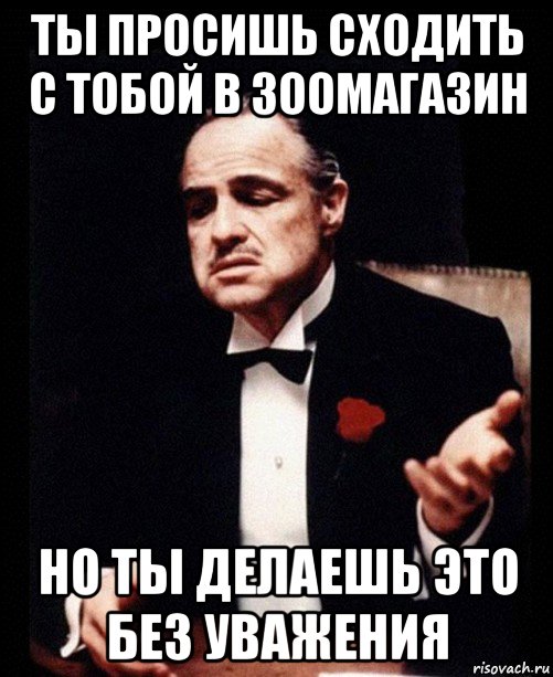 Сходить спросить