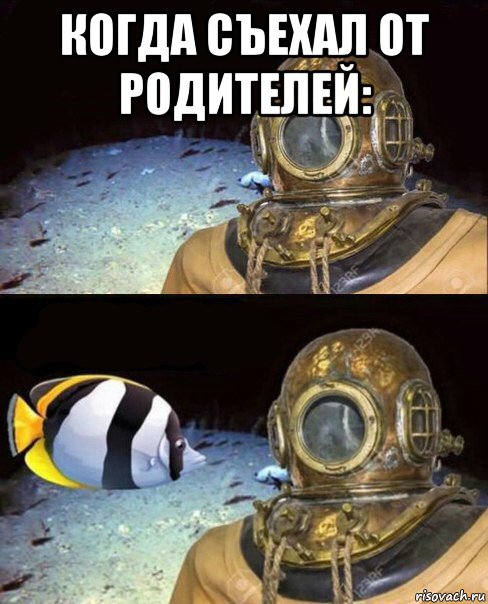 когда съехал от родителей: 