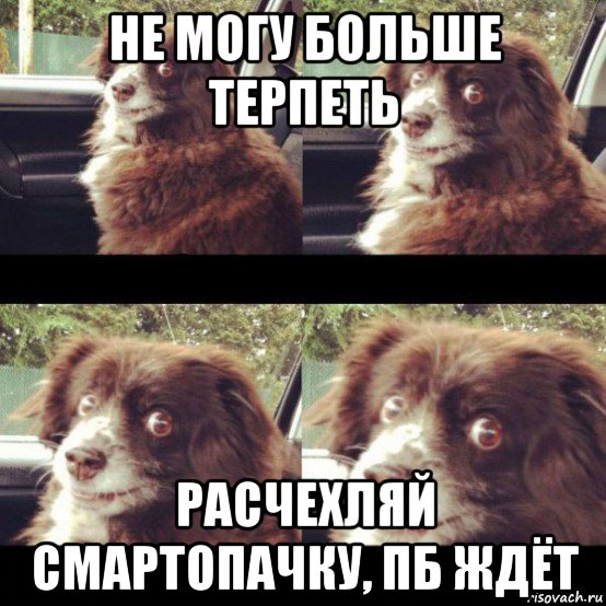 Телочка не может больше ждать Телочка не может больше ждать