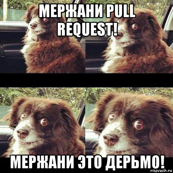 мержани pull request! мержани это дерьмо!, Мем Заводи это дерьмо