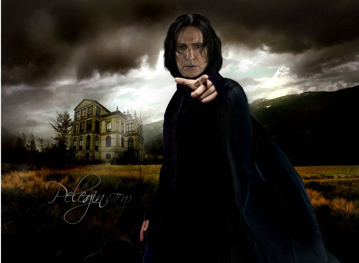 Snape harry. Алан Рикман Гарри Поттер. Гарри Поттер профессор Снейп. Профессор Сириус Снейп. Северус Снейп и Гарри Поттер.