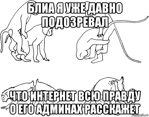 Зато я админ Мем. Сисадмин Мем. Зато у меня Мем. Мемы про админа.