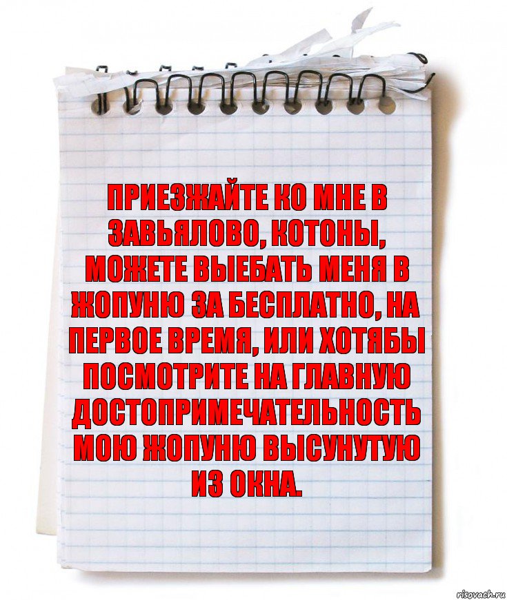 приезжайте ко мне в завьялово, котоны, можете выебать меня в жопуню за бесплатно, на первое время, или хотябы посмотрите на главную достопримечательность мою жопуню высунутую из окна., Комикс   блокнот с пружинкой