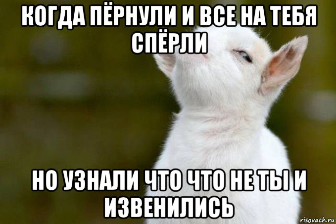 когда пёрнули и все на тебя спёрли но узнали что что не ты и извенились, Мем  Гордый козленок