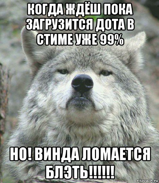 когда ждёш пока загрузится дота в стиме уже 99% но! винда ломается блэть!!!!!!, Мем    Гордый волк