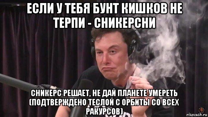 если у тебя бунт кишков не терпи - сникерсни сникерс решает, не дай планете умереть (подтверждено теслой с орбиты со всех ракурсов), Мем Илон Маск