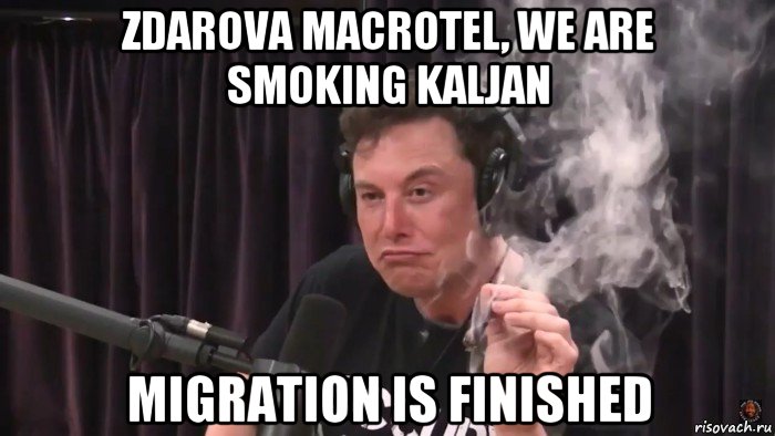 zdarova macrotel, we are smoking kaljan migration is finished, Мем Илон Маск