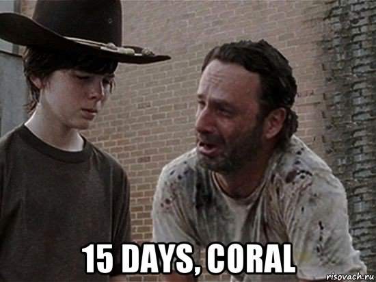  15 days, coral, Мем Карл