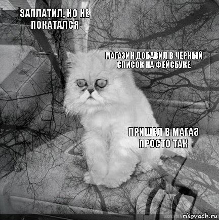 заплатил, но не покатался пришел в магаз просто так магазин добавил в черный список на фейсбуке       