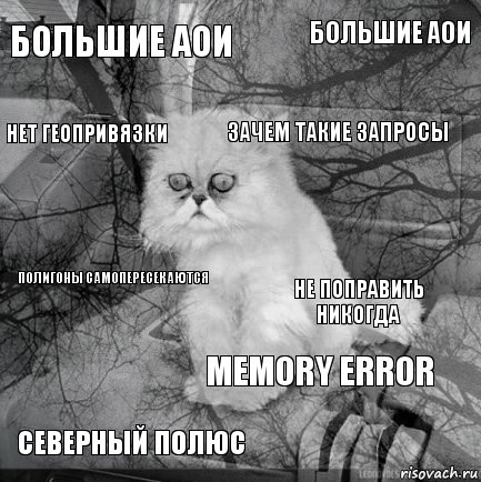 большие аои не поправить никогда зачем такие запросы северный полюс полигоны самопересекаются большие аои memory error нет геопривязки  