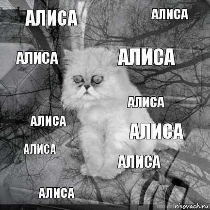 алиса алиса алиса алиса алиса алиса алиса алиса алиса алиса