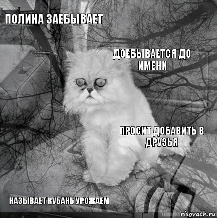 Полина заебывает просит добавить в друзья Доебывается до имени Называет Кубань Урожаем      