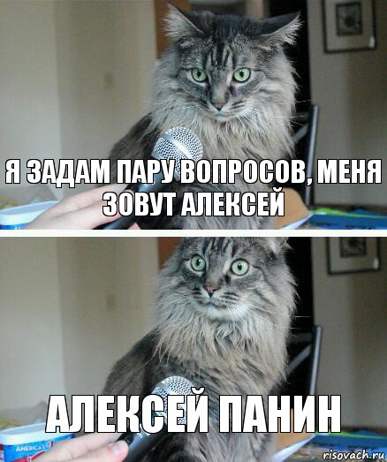 Я задам пару вопросов, меня зовут Алексей Алексей Панин, Комикс  кот с микрофоном