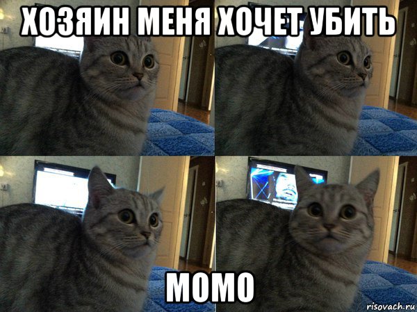 хозяин меня хочет убить момо