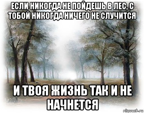 Никогда не случится. Мемы про лес. Если никогда не пойдешь в лес с тобой никогда ничего не случится. В лес пошел Мем. Если ты не пойдешь в лес с тобой никогда.