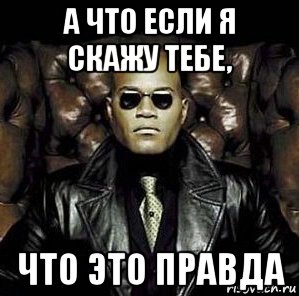 а что если я скажу тебе, что это правда