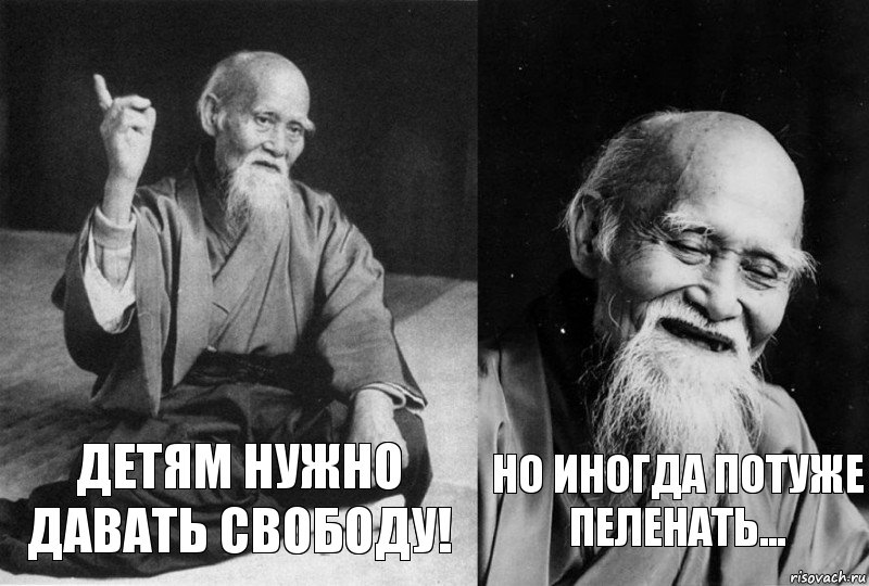 Детям нужно давать свободу! Но иногда потуже пеленать..., Комикс Мудрец-монах (2 зоны)