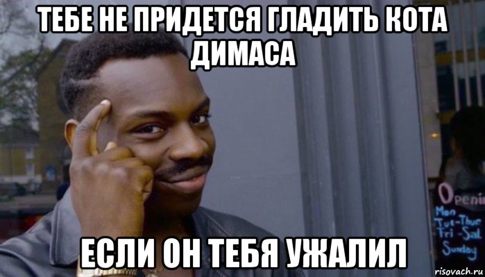 тебе не придется гладить кота димаса если он тебя ужалил, Мем Не делай не будет