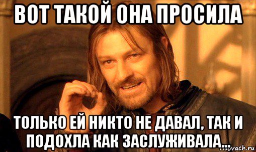 вот такой она просила только ей никто не давал, так и подохла как заслуживала..., Мем Нельзя просто так взять и (Боромир мем)