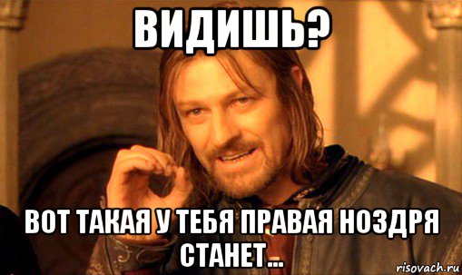 видишь? вот такая у тебя правая ноздря станет..., Мем Нельзя просто так взять и (Боромир мем)