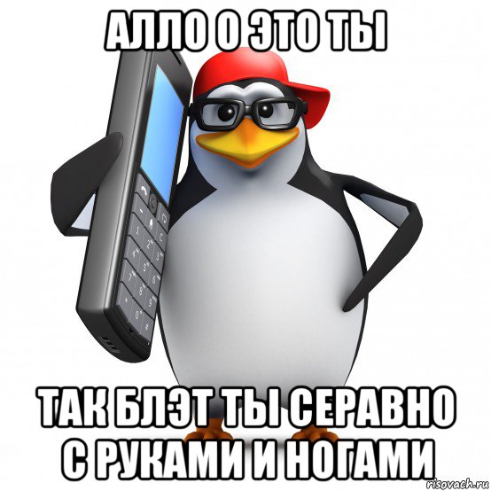 алло о это ты так блэт ты серавно с руками и ногами, Мем   Пингвин звонит