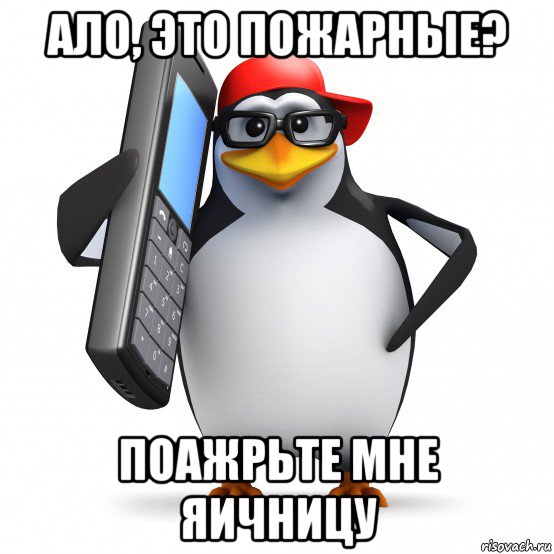 ало, это пожарные? поажрьте мне яичницу, Мем   Пингвин звонит