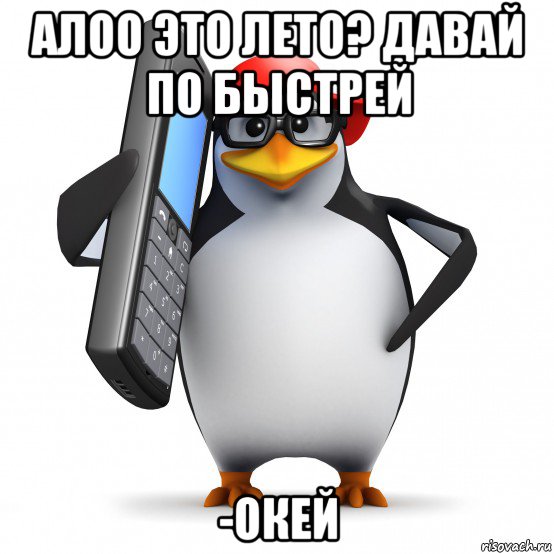 алоо это лето? давай по быстрей -окей, Мем   Пингвин звонит