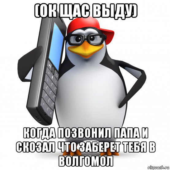 (ок щас выду) когда позвонил папа и скозал что заберет тебя в волгомол, Мем   Пингвин звонит