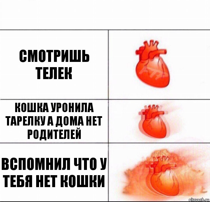 Смотришь телек Кошка уронила тарелку а дома нет родителей Вспомнил что у тебя нет кошки, Комикс  Расширяюшее сердце