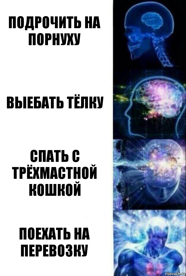 Подрочить на порнуху Выебать тёлку Спать с трёхмастной кошкой Поехать на перевозку, Комикс  Сверхразум