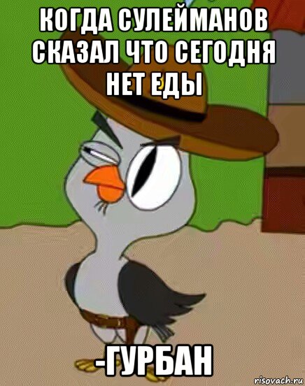 когда сулейманов сказал что сегодня нет еды -гурбан, Мем    Упоротая сова