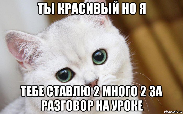 ты красивый но я тебе ставлю 2 много 2 за разговор на уроке, Мем  В мире грустит один котик