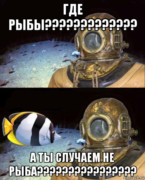 где рыбы????????????? а ты случаем не рыба????????????????, Мем   Высокое давление