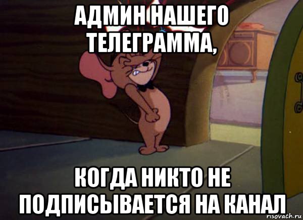 Никто не подпишется. Мем она не в хиджабе Джерри. Она без хиджаба Мем Джерри. Она в хиджабе Мем Джерри. Мем про хиджаб с Джерри.