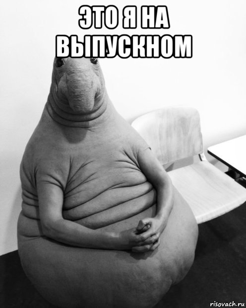 это я на выпускном , Мем  Ждун