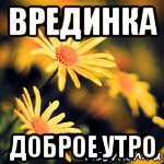 С добрым утром вредина картинки