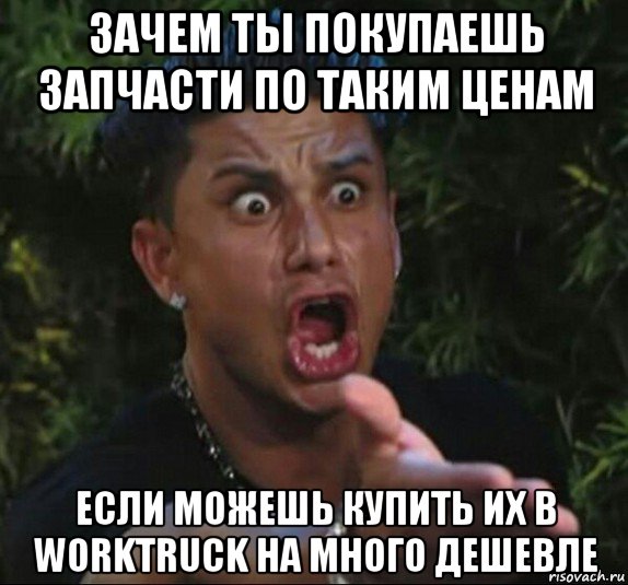 зачем ты покупаешь запчасти по таким ценам если можешь купить их в worktruck на много дешевле, Мем Дом 2