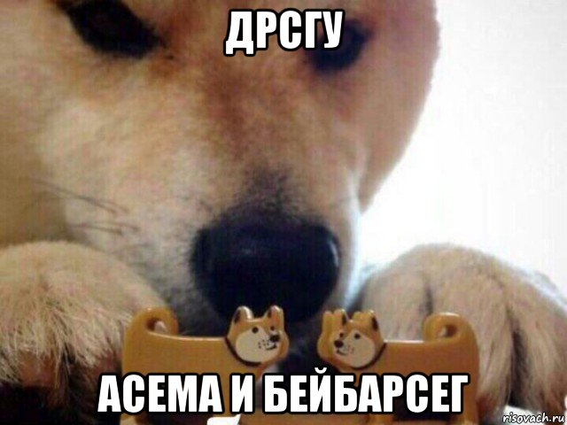 дрсгу асема и бейбарсег