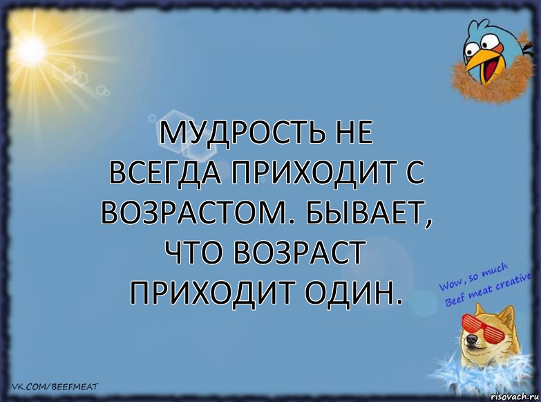 Мудрость не всегда приходит с возрастом. Бывает, что возраст приходит один., Комикс ФОН